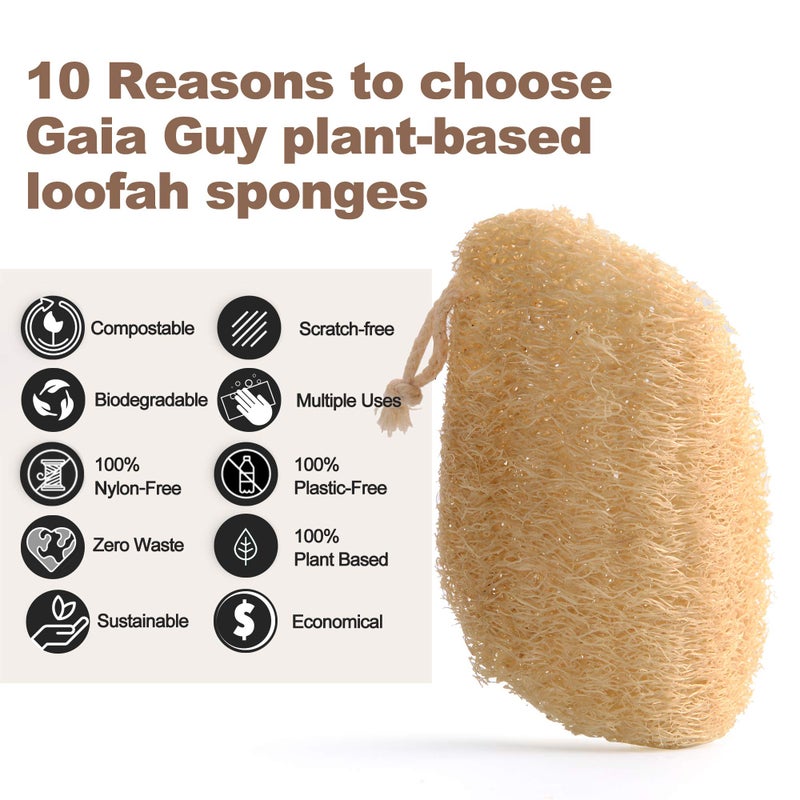 Gaia Guy Natural Loofah Dish Sponge - 10 Pack (6 + 4 Bonus) - 100% Plant-Based, Plastic-Free Kitchen Scrubber Pads | Compostable & Zero Waste Alternative to Traditional Sponges - Image 5